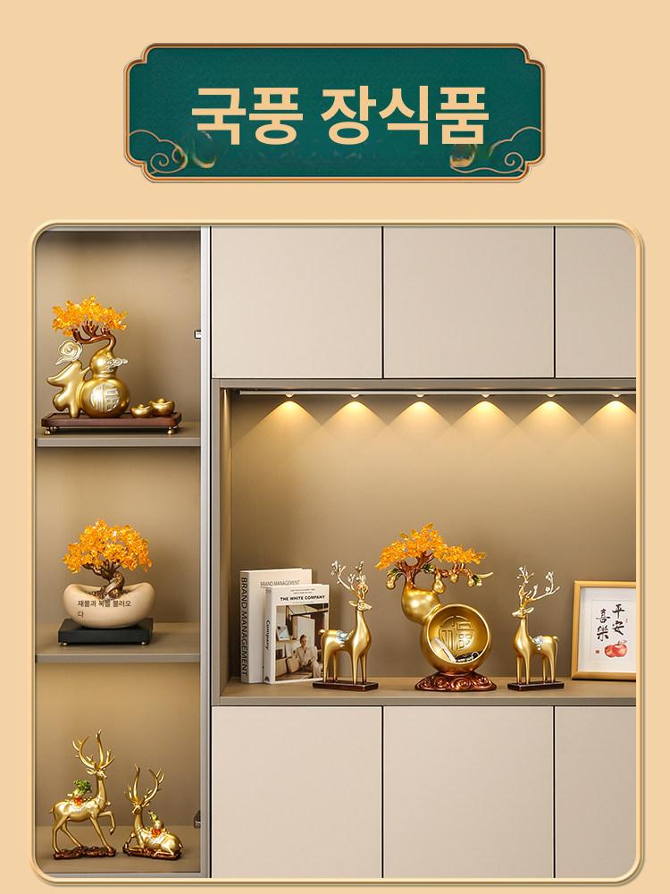 황금 거실화분 돈나무 인테리어식물 장식 개업선물 행운목 집들이화분 - 상세 이미지 5