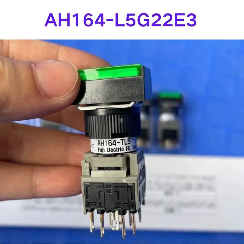 AH164-L5G22E3 스위치