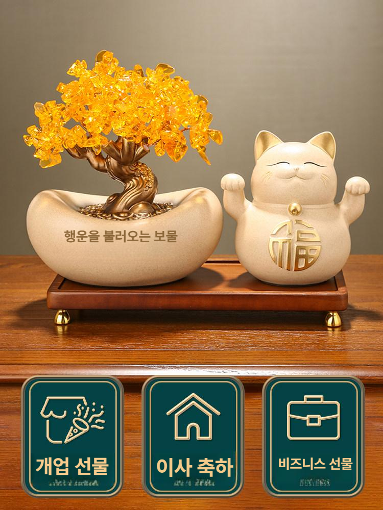 황금 거실화분 돈나무 인테리어식물 장식 개업선물 행운목 집들이화분 - 상세 이미지 2