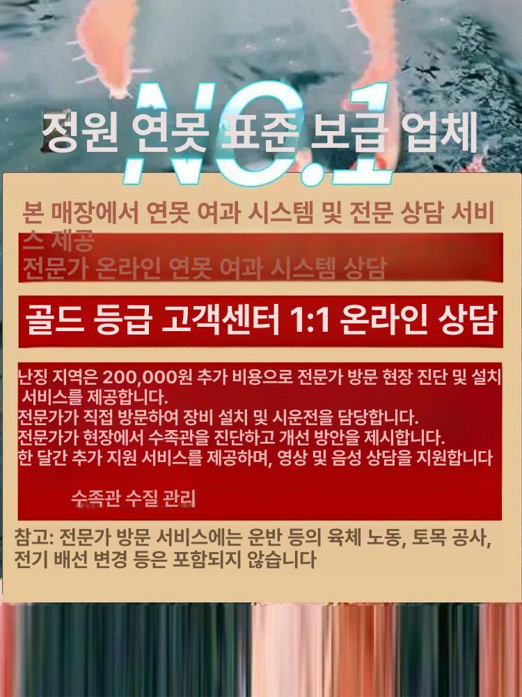 연못 여과기 필터 정화기 양어장 수조 시스템 어항 수질 이끼제거 관리 청소 순환펌프 - 상세 이미지 4