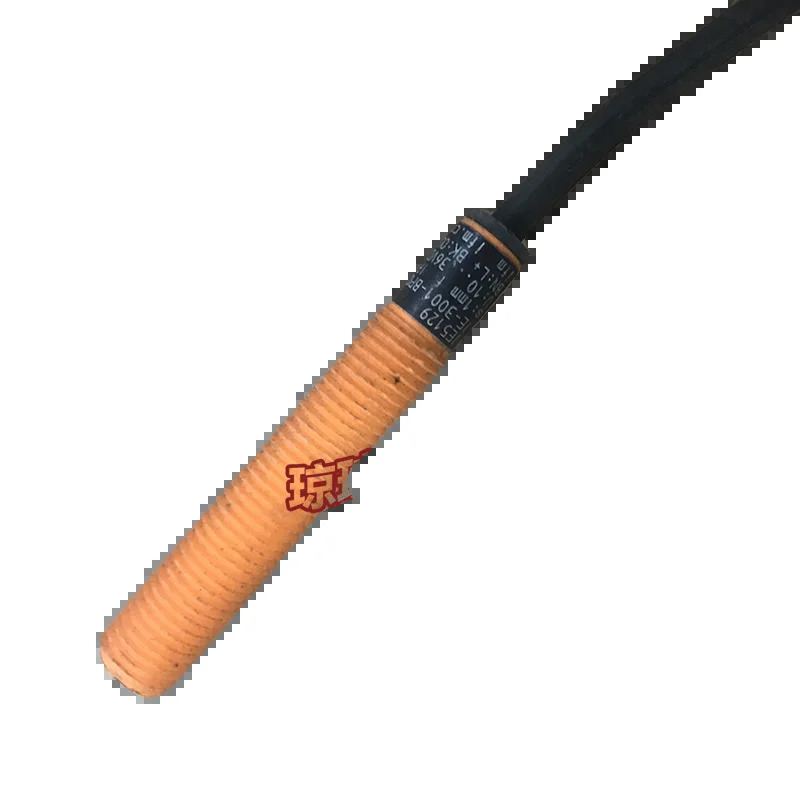 IFM IE-3001-BPOG 정전식 스위칭 센서 IE5129