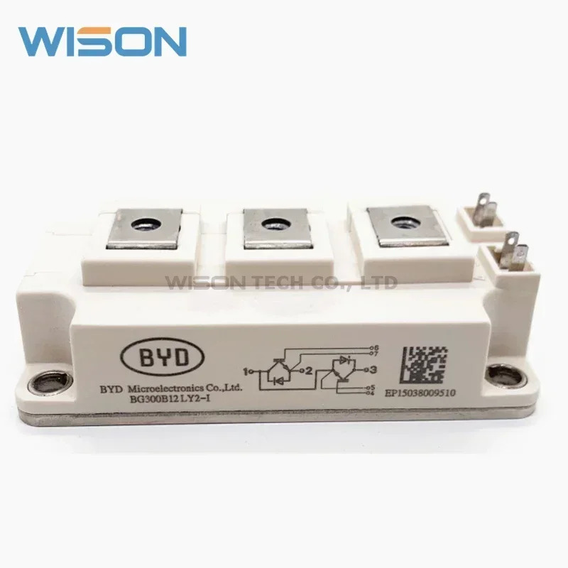 BG300B12LY2-I BG400B12LY2-I