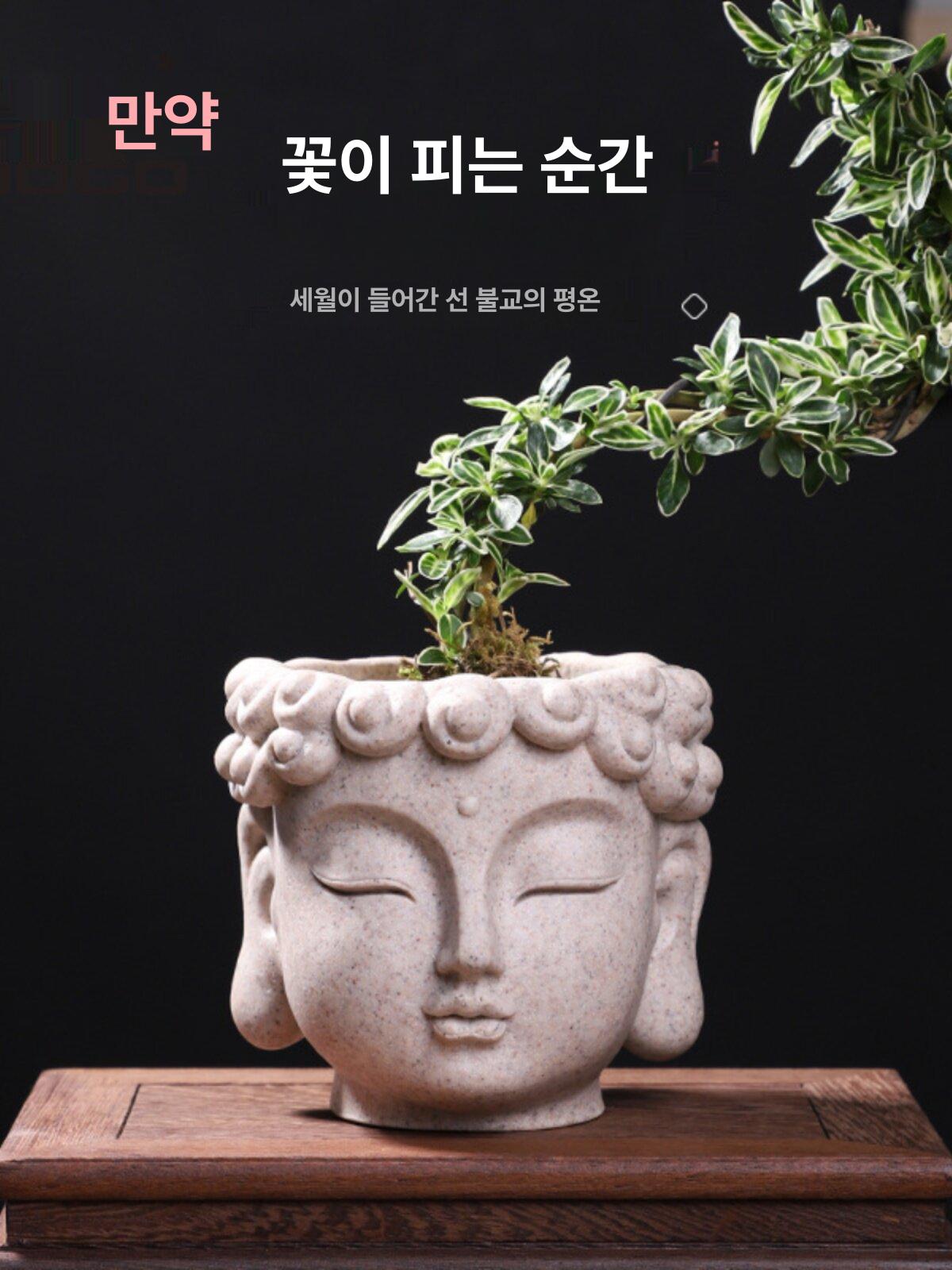 부처님 미니소형화분 장식 미니화분 사각 분갈이 인테리어화분 초미니 다육 사무실 - 상세 이미지 4