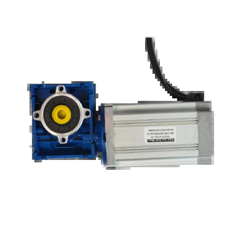 전력 48V300V 출력 400W3000W 브러시리스 DC 웜 기어 모터 옵션 300V 운송 기계용