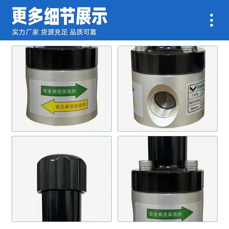 탄소강 배압 밸브 안전 나사형 플랜지 연결 단방향 릴리프 특수 액체 계량 펌프