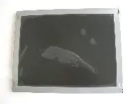 오리지널 A  등급 LQ080Y5DR03 투과 WVGA LCD 디스플레이