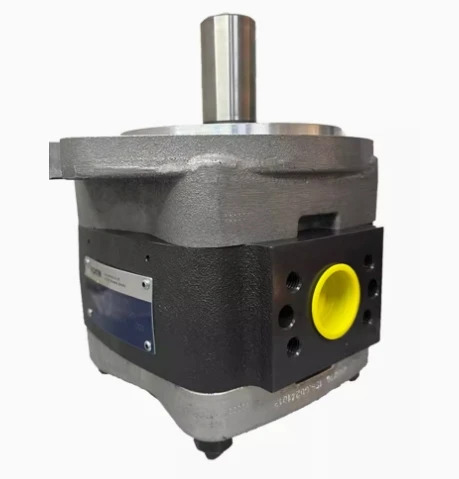 Voith 기어 펌프 IPV6-64-101 IPV6-80-101 100-101/125-101 IPVP6-64-101 80-101/100-101/125-101 IPVS-64-101