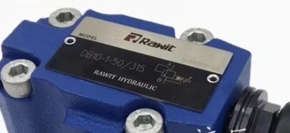 Rawit 유압식 릴리프 밸브 DB10-1-50 315 DB20-1-50 DB30-1-50