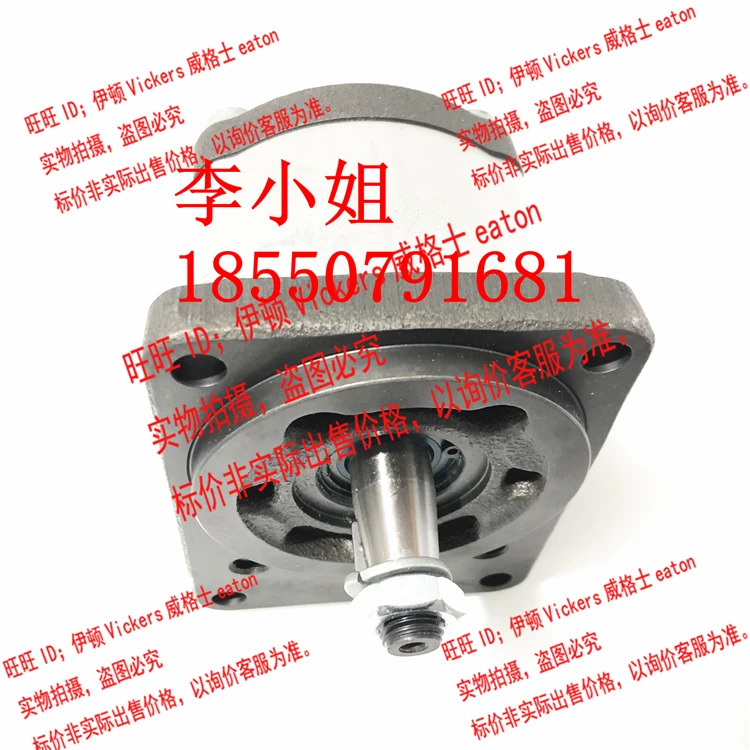 독일 Rexroth 기어 펌프 0510425009 0510225006 0510325006
