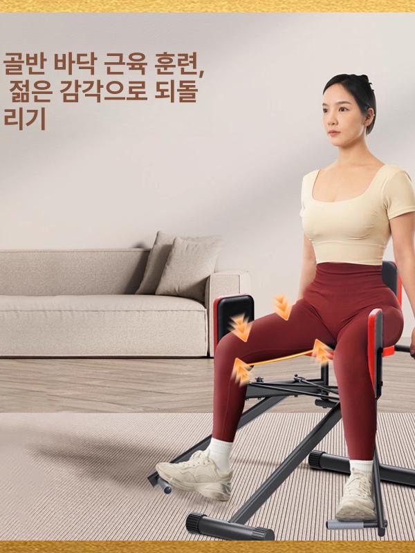 힙어브덕션 기구 하체 홈짐 헬스장 코어 엉덩이 홈트 머신 듀얼 근력강화 팔걸이 이미지 6