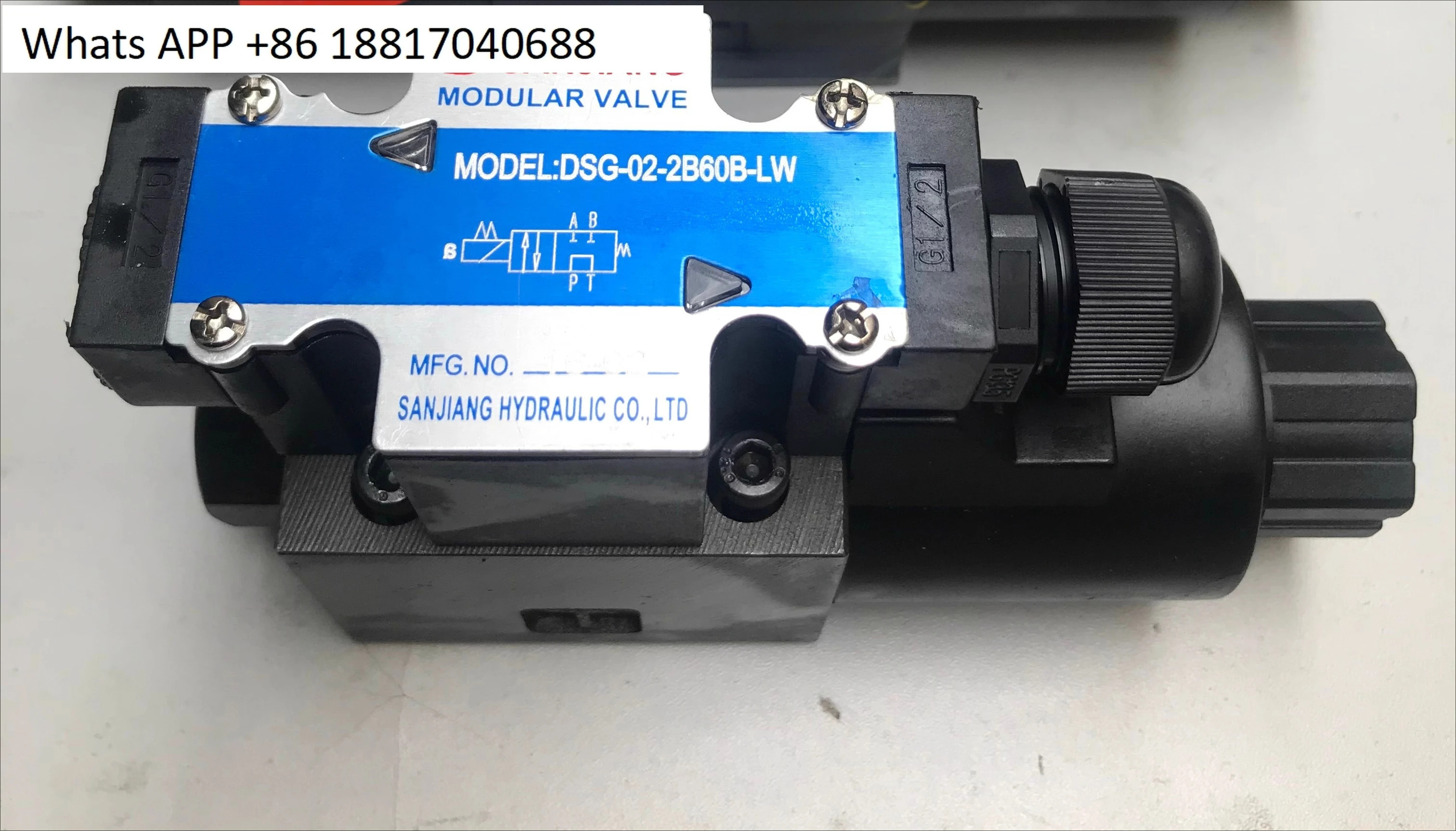 정션박스 솔레노이드 밸브 DSG-02 시리즈 DSG-02-2B2-LW/AC220V110V DC24V12V DSG-2B3 2B60B
