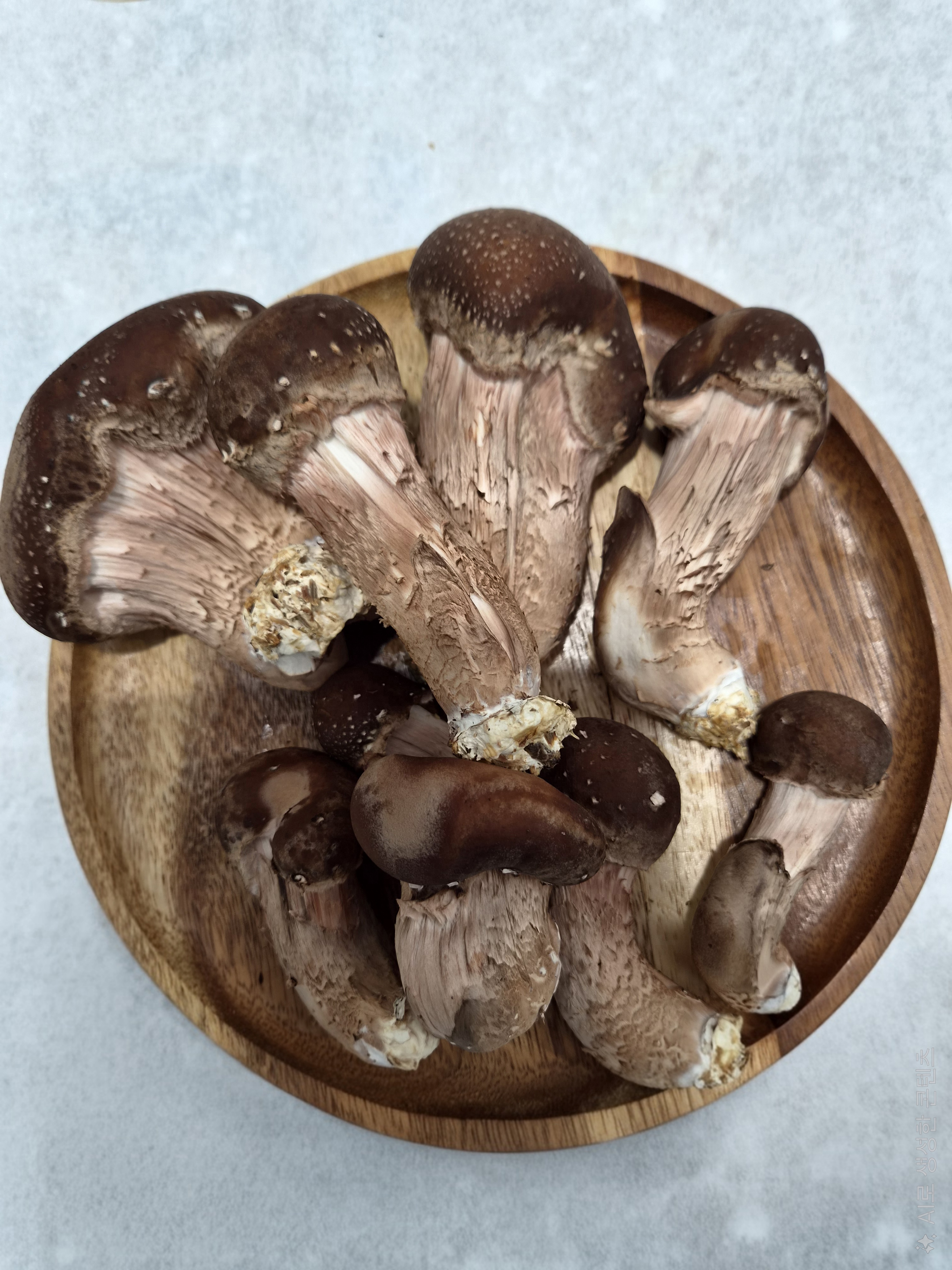 꼼지락농부의 참송이버섯 실속형 500g(가정용250g+고급형250g) - 상품 이미지