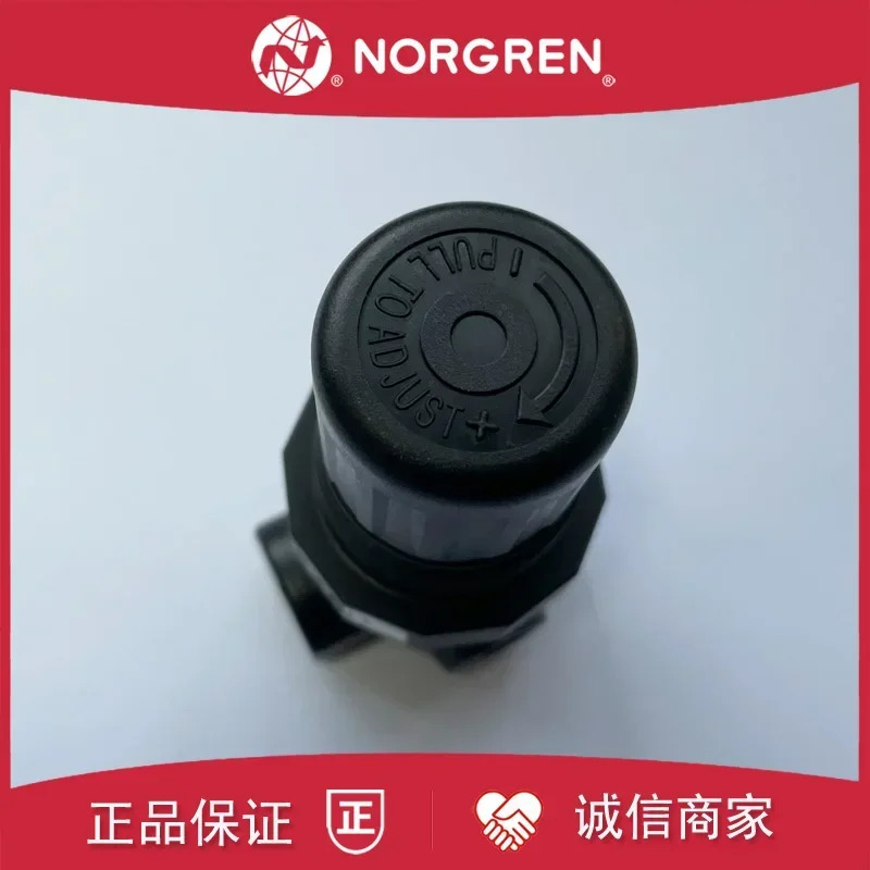 R07-200-RNKG NORGREN 압력 조절 밸브 100