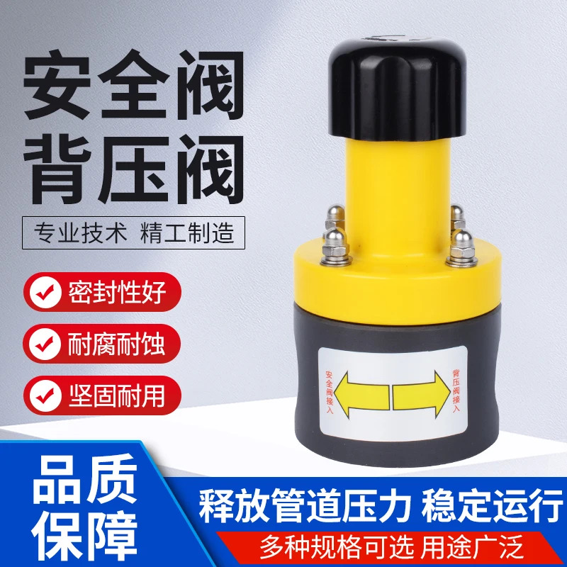 UPVC PVC 배압 밸브/안전 밸브 내부 와이어 연결 계량 펌프 특수 플라스틱 단방향 압력 완화