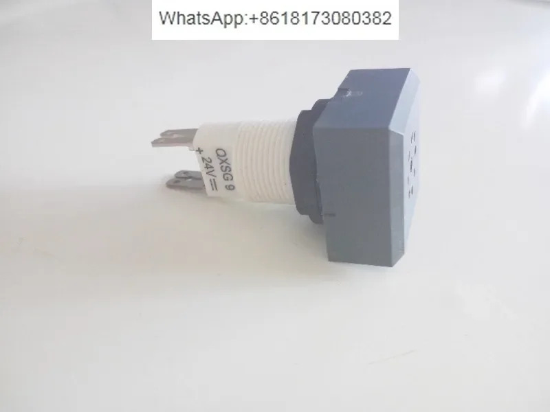 버저 QXSG9 24V