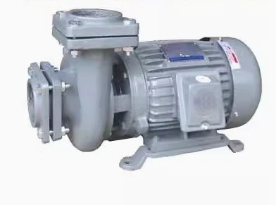 MINIMOTO 수평 워터 펌프 YLGBW25-14 0.37KW/0.5hp호환 YLGBW40-16 0.75KW/1hp호환 YLGBW50-18 1.5KW/2hp호환 YLGBW65-
