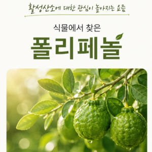 베르가못 지중해식단 폴리페놀 추출물 맛있게 먹은 솔직 후기 - 상품 이미지 4
