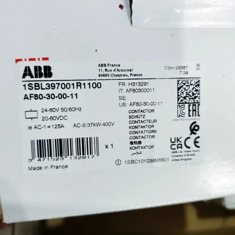 SBB 1SBL 397001 R1100 AF80-30-00-11 20-60VAC/DC
