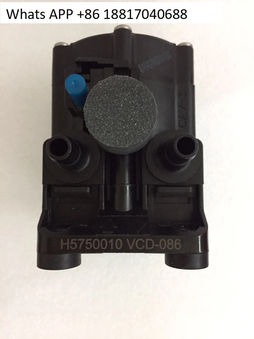 FLOJET 공압 다이어프램 펌프 G57520GD P56-SANTO