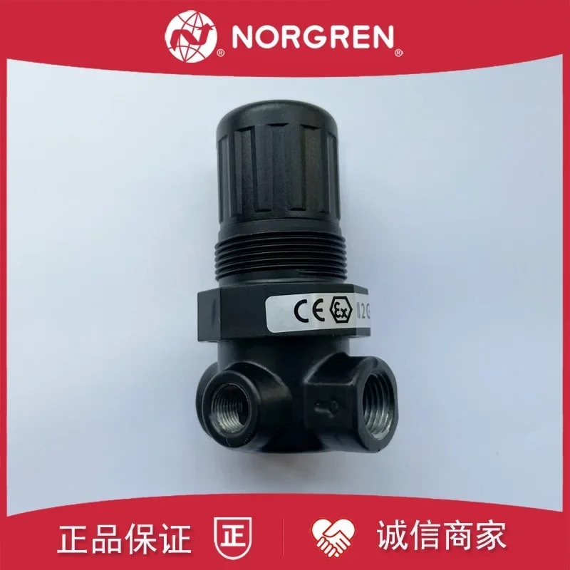 R07-200-RNKG NORGREN 압력 조절 밸브 100
