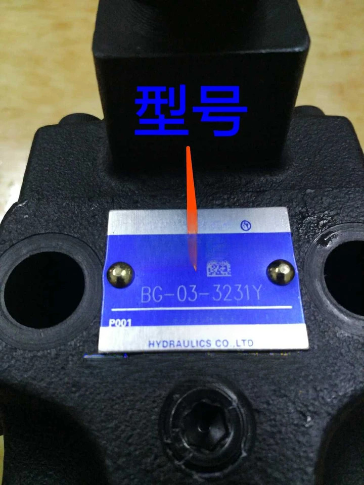 수동 백 압력 밸브 저장 BG-03-3231Y 사출 성형기 액세서리