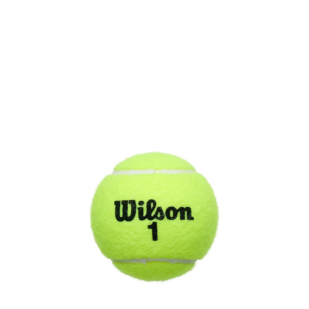 WILSON 챔피언쉽 테니스 공 엑스트라 듀티 (4개) 캔 싱글 - 상세 이미지 3