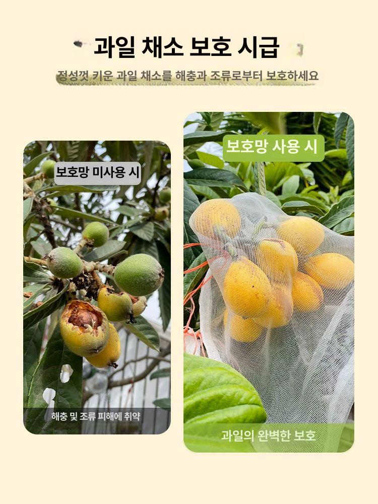 과일 봉지 포장지 재사용 주머니 포도 포장재 복숭아 딸기 - 상세 이미지 2