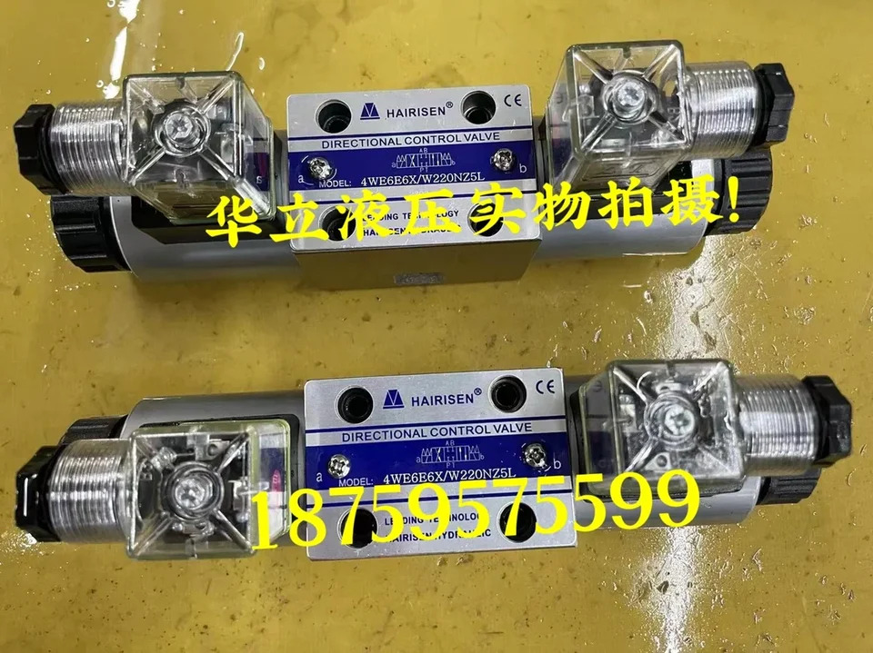 대만 히라이즈 솔레노이드 밸브 4WE6G6X G24NZ5L W220NZ5L 4WE10G6X