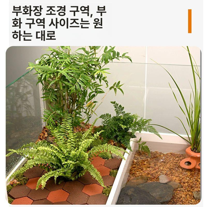 수족관 대형어항 투명 사육장 가정용 열대어 반수생 물고기 거북이수조 인테리어 유리 - 상세 이미지 4