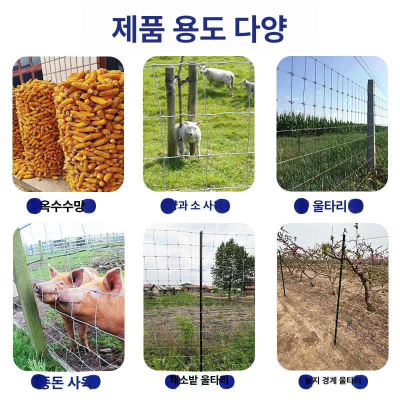 강철 닭장망 농장 보호 철조망 염소망 고라니망 아연도금 안전망 아연능형망 노루망 - 상세 이미지 5