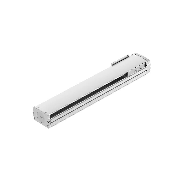 FESTO 나사 타입 전기 실린더 8124456 EL-BS-120-550-10P 8124501 EL-BS-120-550-20P