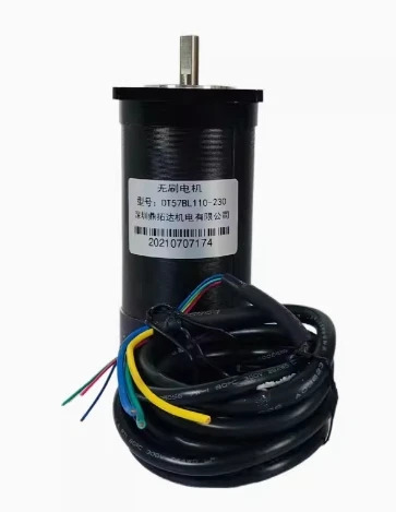 Dingkuoda DC 브러시리스 모터 DT60BL100-230 DT42BL50-230 DT57BL110-230 DT80BL150-430 DT80BL150-3130 DT80BLF