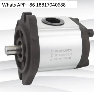 REXPOWER 오리지널 오일 펌프 기어 RGP-F314R F316R F319R
