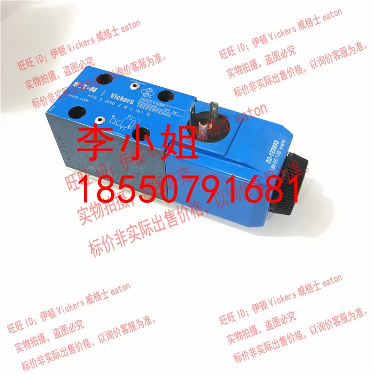 이튼 비커스 KCG-3-/100D/160D/250D/350D-Z-M-U-HL1-10/H1