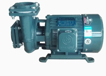 MINIMOTO 수평 워터 펌프 YLGBW25-14 0.37KW/0.5hp호환 YLGBW40-16 0.75KW/1hp호환 YLGBW50-18 1.5KW/2hp호환 YLGBW65-