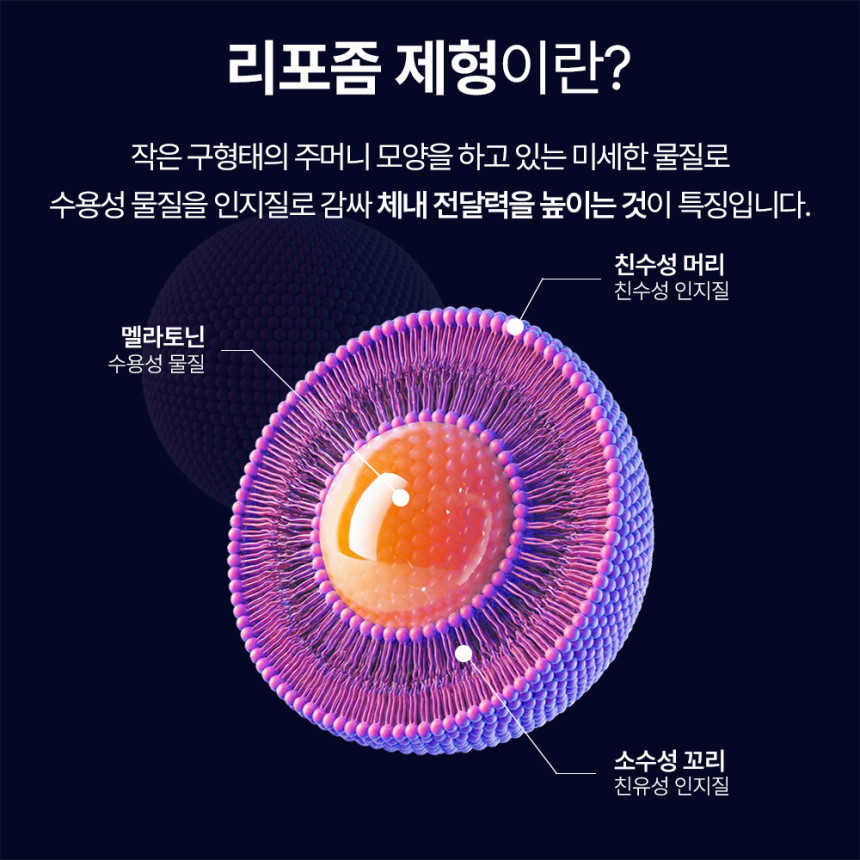 젠업 리포좀 식물성 멜라토닌 5mg 온드림 미국 타트체리 트립토판 테아닌 30정, 6개