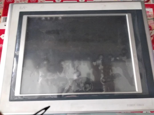 터치 LCD 스크린 4PP320.1505-31