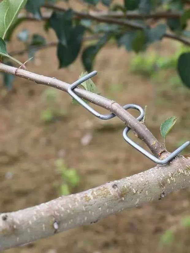 정원 나무교정기 도구 성형 과수원 지지대 묘목 분재용철사 나무철사 - 상품 이미지