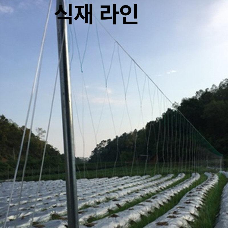 강선 와이어로프 농업용 플라스틱 원예 코팅와이어 아연도금 포도밭 농사용 농자재 - 상세 이미지 3