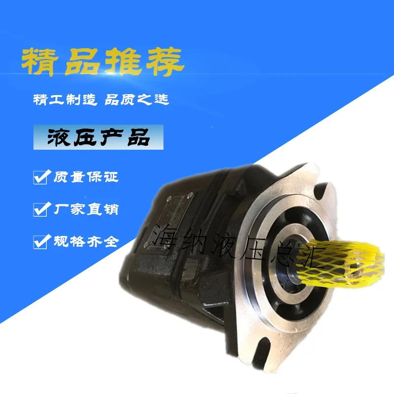 Hytek 서보 기어 오일 펌프 HG1 2/0-125 32 40 50 63/160-01R-VPC