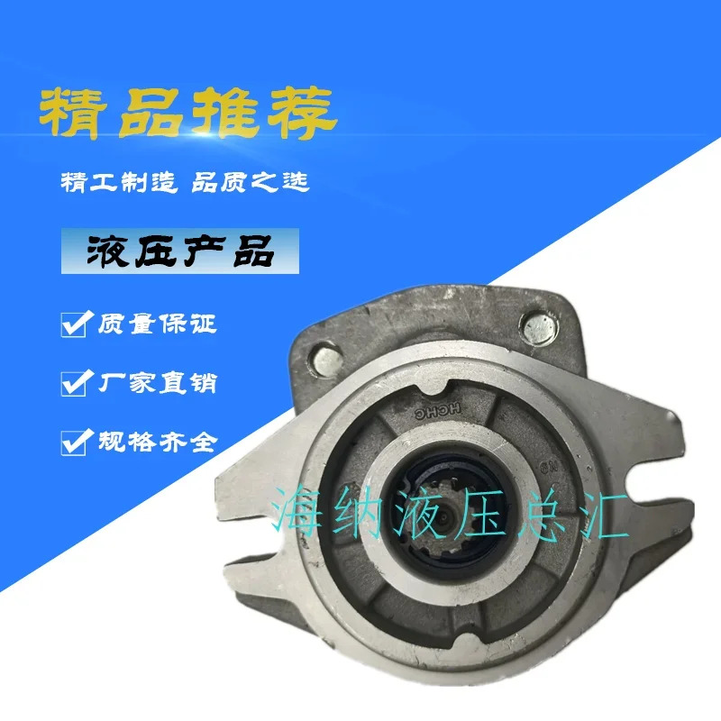 롱 기어 오일 펌프 CBHZ-F23 F26.5 F30 F32 F36-ALsp CBHZA-F36-AFsp