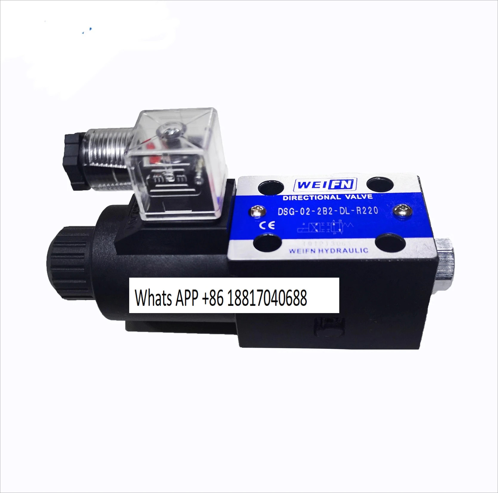 솔레노이드 밸브 DSG-02 시리즈 DSG-02-2B2B/2B2A/2B3A/2B3B-DL-220V 24V 12V 110V