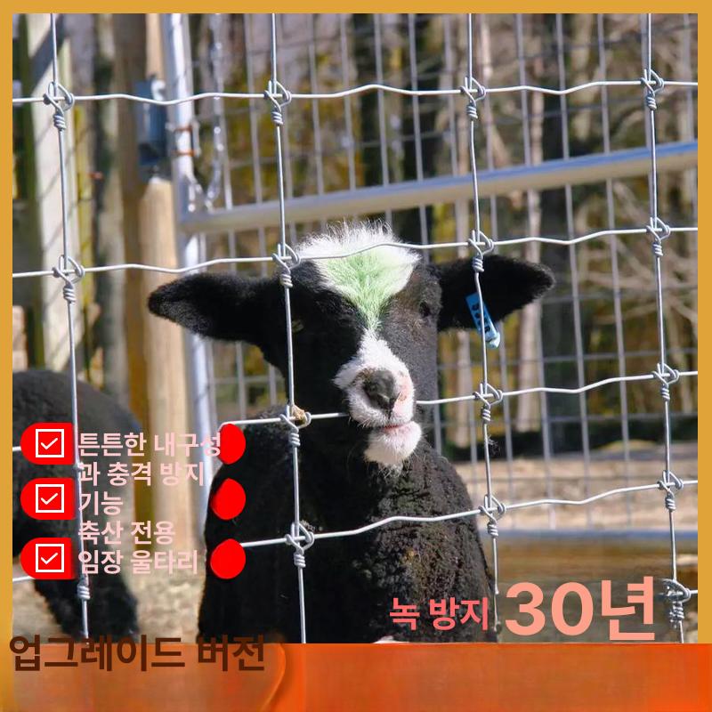 강철 닭장망 농장 보호 철조망 염소망 고라니망 아연도금 안전망 아연능형망 노루망 - 상세 이미지 2