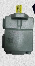 YUKEN 베펌프 PV2R1-23-F-R-A-A PV2R1-25-F-R-A-A PV2R1-31-F-RAA PV2R1-23-F-RAA-31 PV2R1-17-F-RAA PV2R1-2