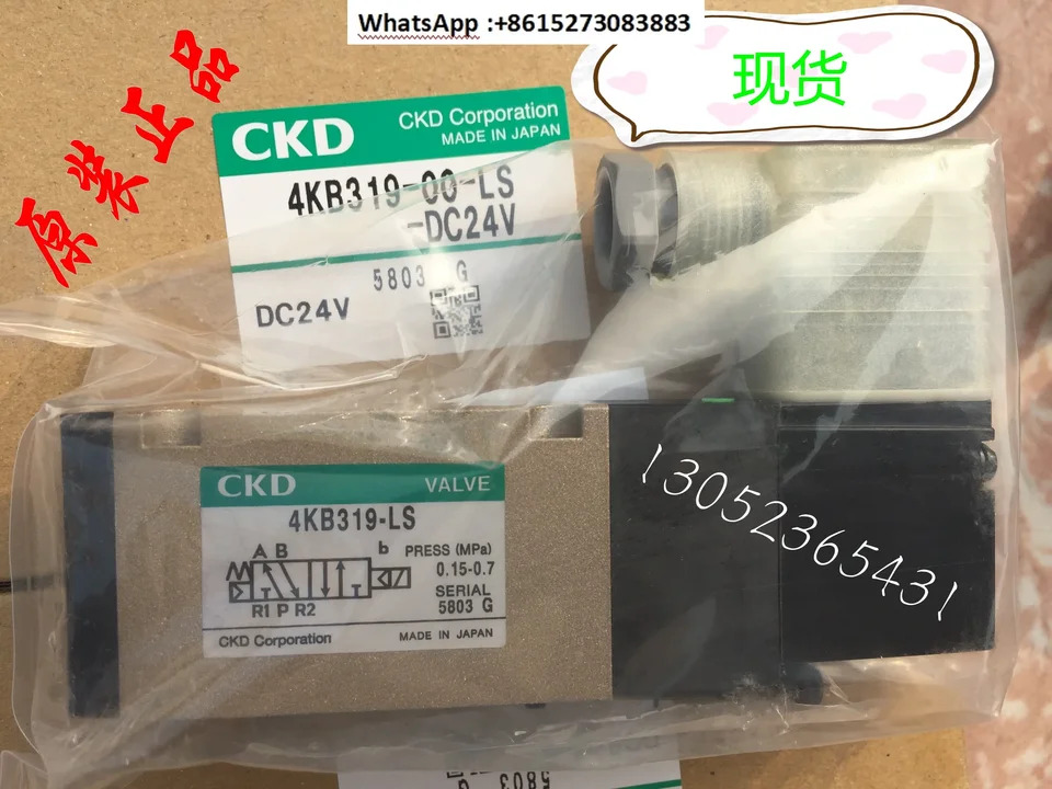 Xikaili CKD 솔레노이드 밸브 4KB319-00-LS-DC24V AC220V AC110V 4KB319-LS