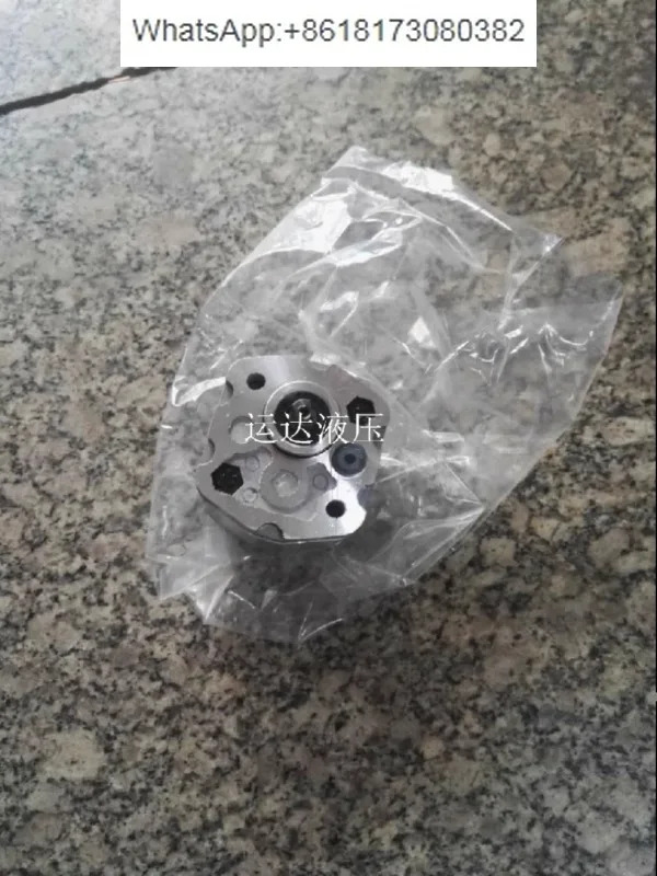 SDH 기어 펌프 오일 마이크로 CBD-F10.16L1B-BA 티안 두안 유압