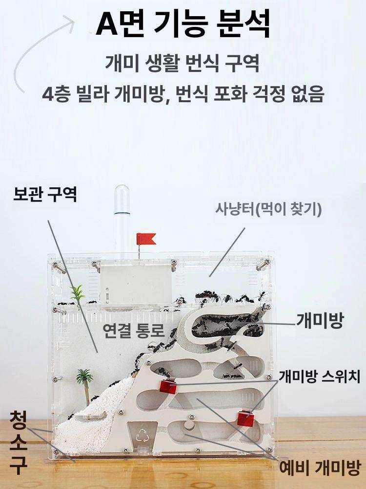 대형 사육장 아크릴 은신처 양면투명 키우기 실내 관상용 화이트 - 상세 이미지 3