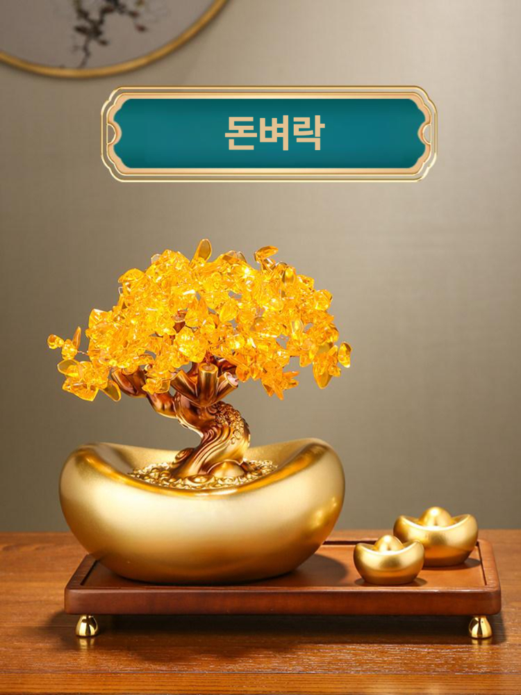 금전수 개업화분 행운목 황금죽 인테리어 풍수 행운의상징 행운가득 개업식화분 - 상품 이미지