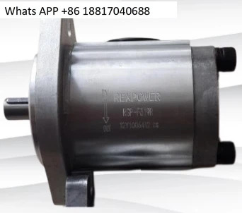 REXPOWER 오리지널 오일 펌프 기어 RGP-F314R F316R F319R