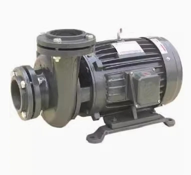 MINIMOTO 수평 워터 펌프 YLGBW25-14 0.37KW/0.5hp호환 YLGBW40-16 0.75KW/1hp호환 YLGBW50-18 1.5KW/2hp호환 YLGBW65-